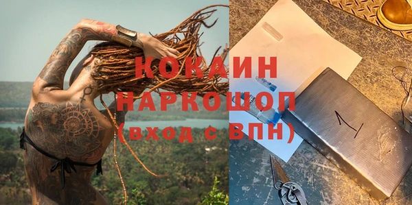кокс Арсеньев