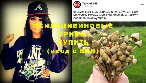 кокс Арсеньев