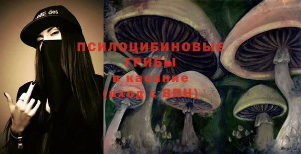 кокс Арсеньев